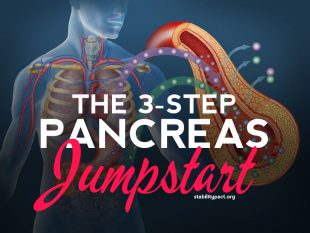 How to jumpstart your pancreas in 3-steps using methods from the Diabetes Destroyer by David Andrews.